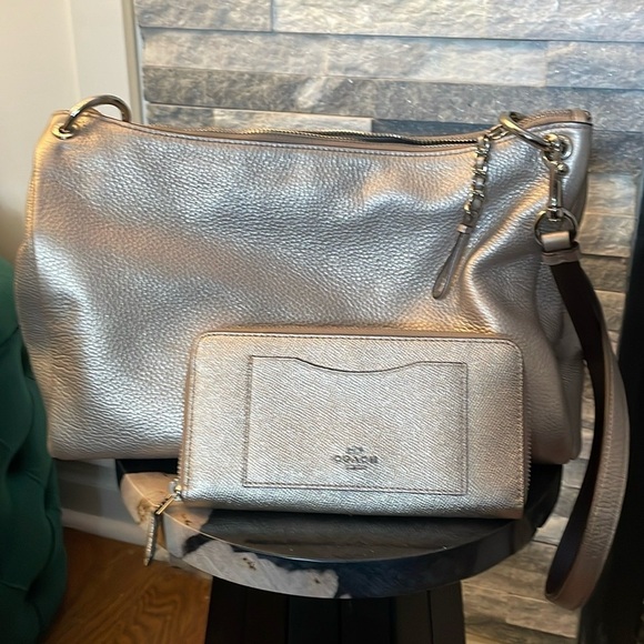 COACH METALLIC PURSE AND WALLET - Picture 1 of 13